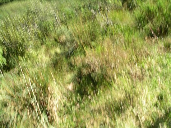 045-imgp1942.jpg.medium.jpeg